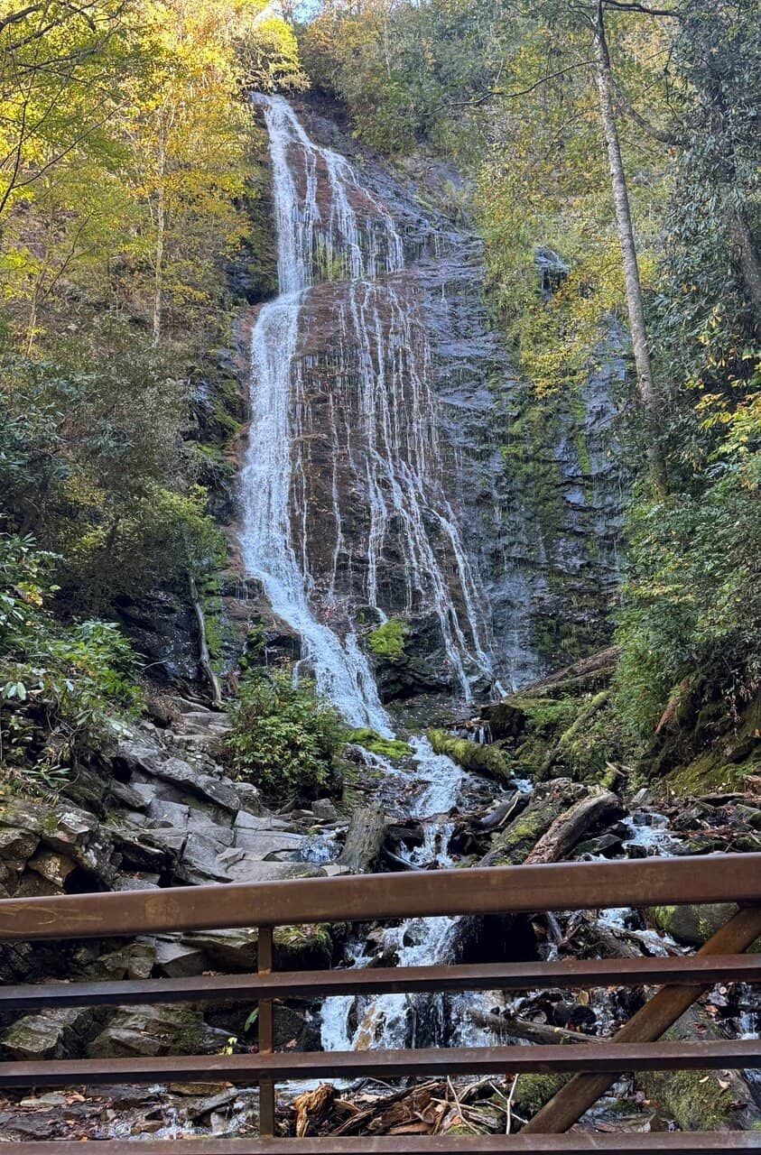 Vertical photo