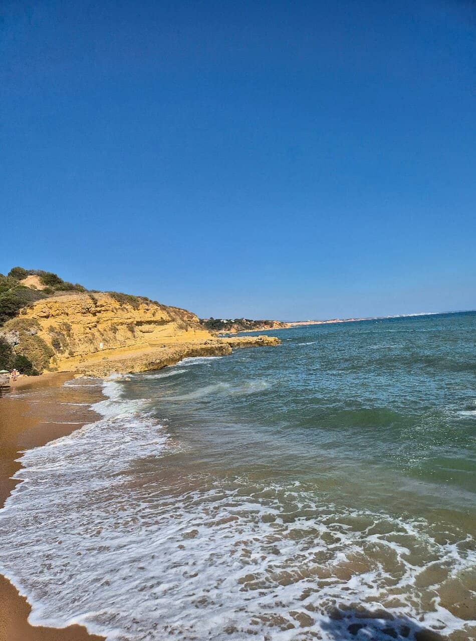 Swallow Nesting Cliffs