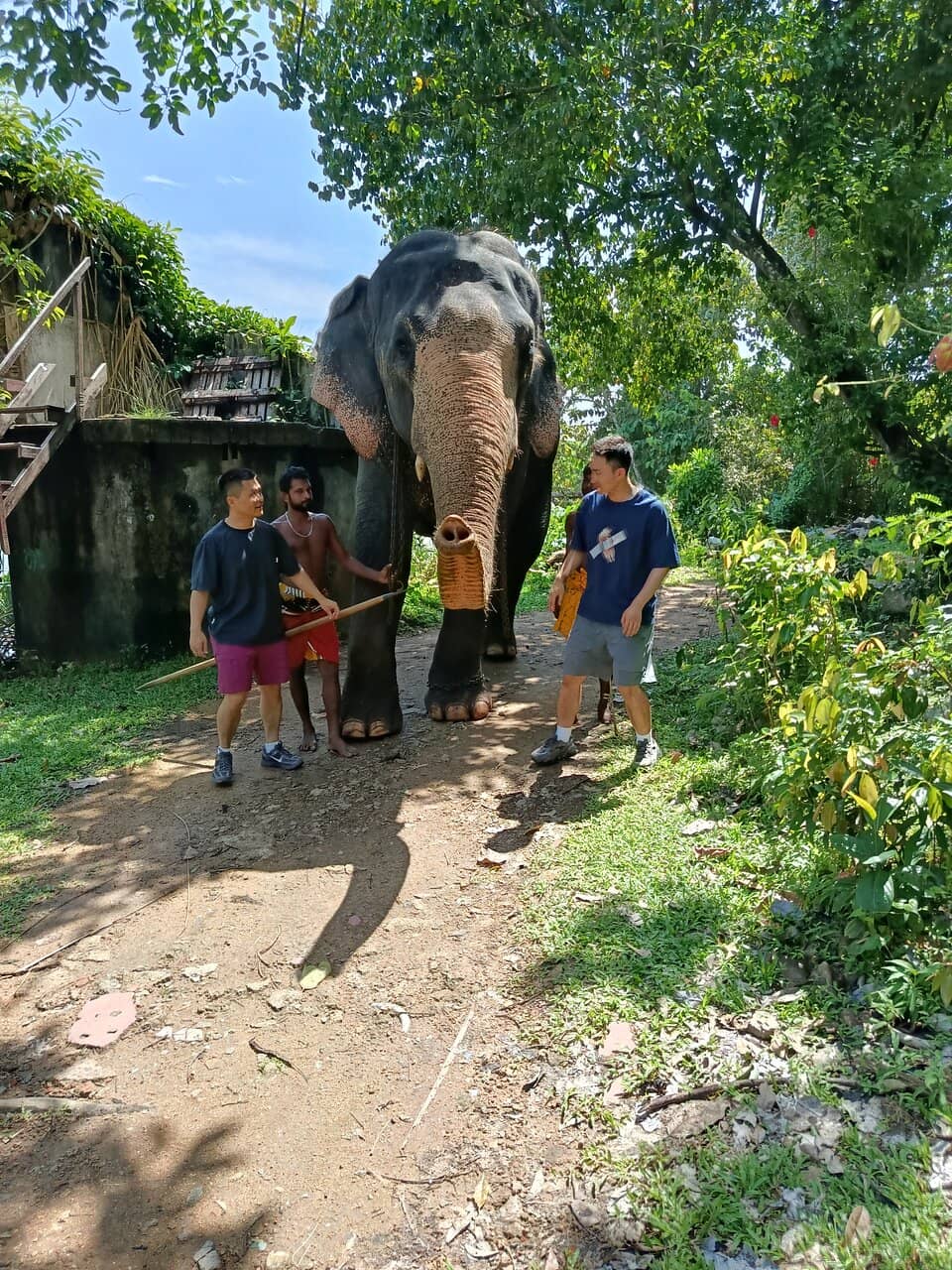 Beach Volleyball Fun