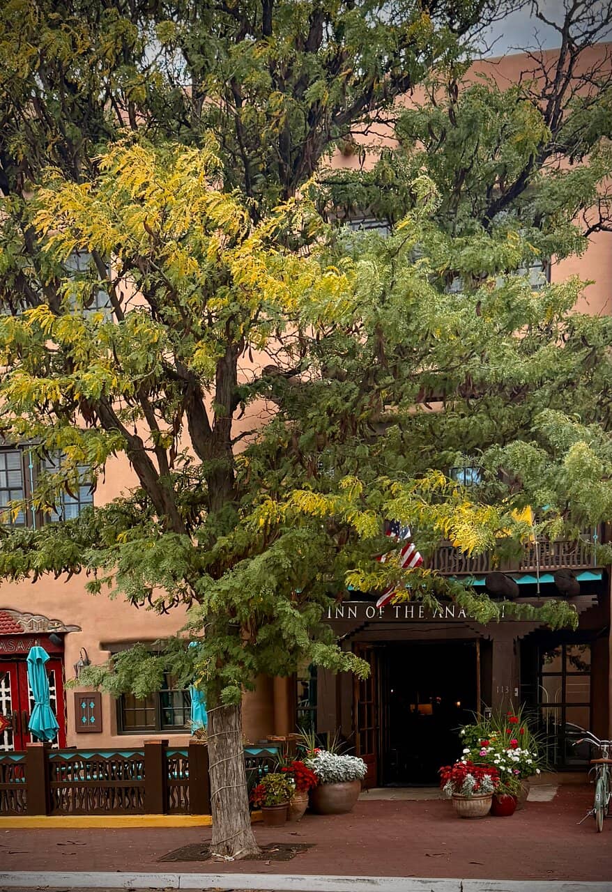 Exceptional Cocktails