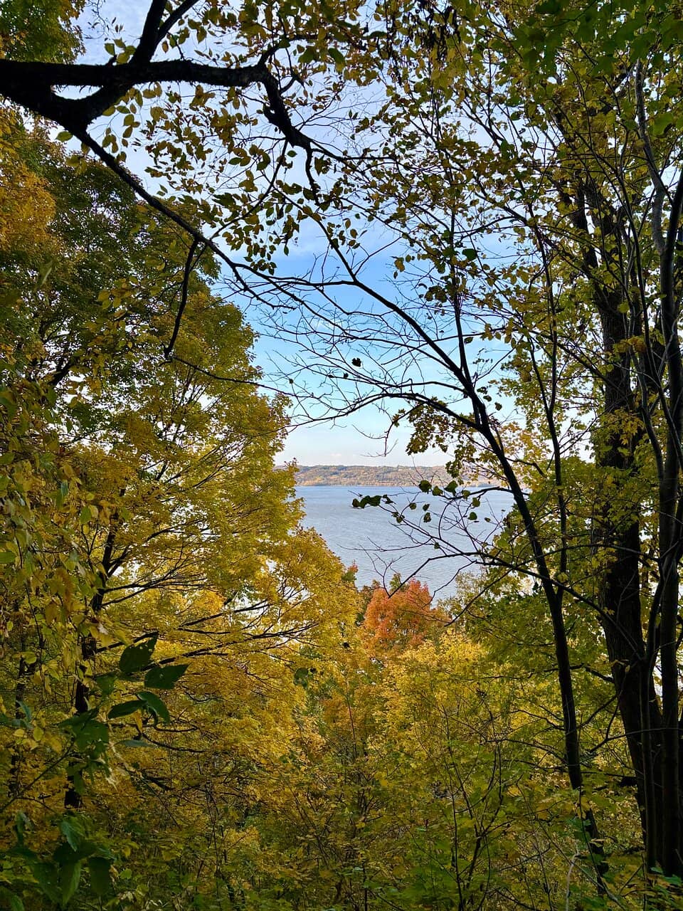 Birdwatching Hotspot