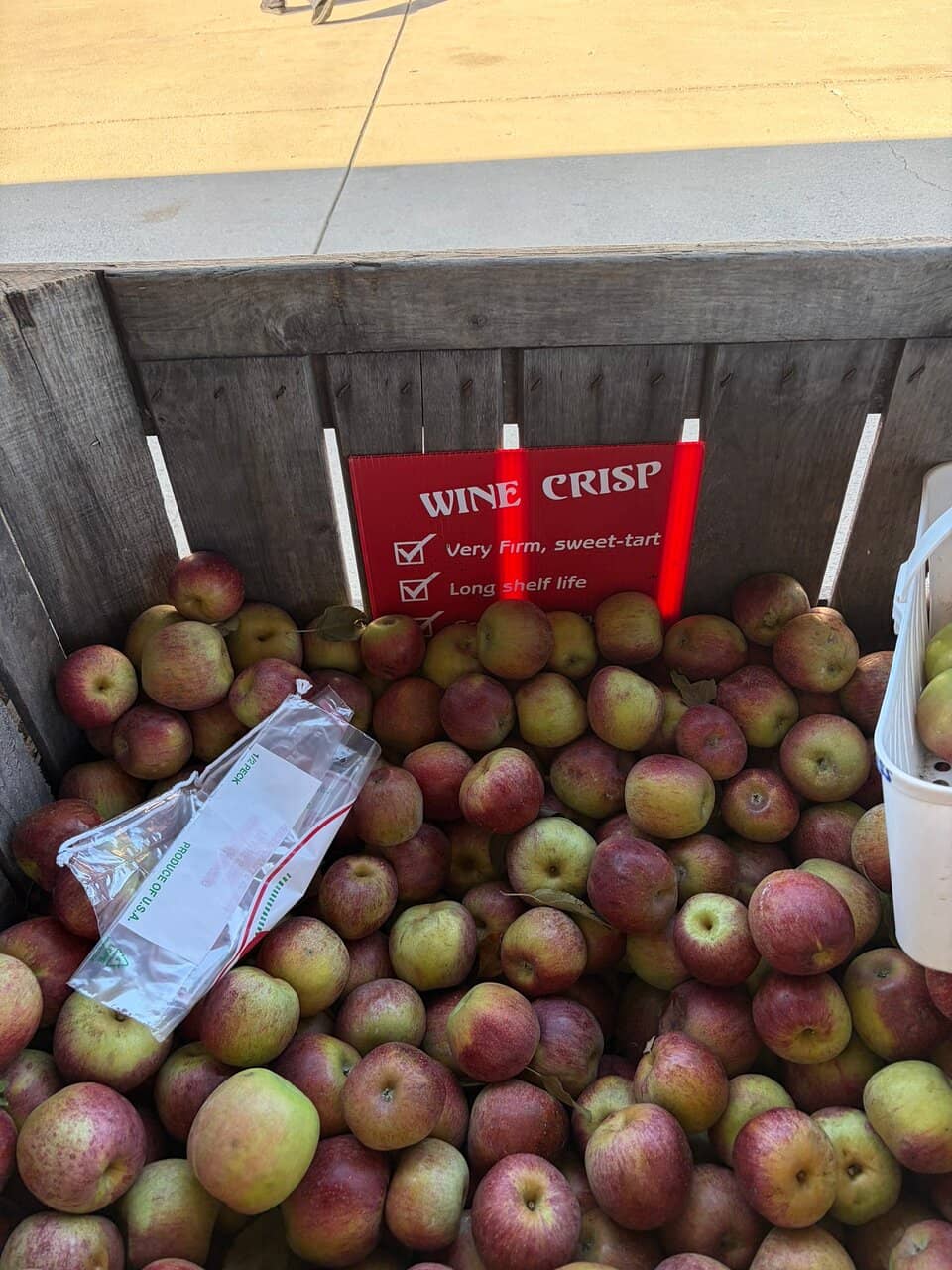 Pumpkin Patch Picking