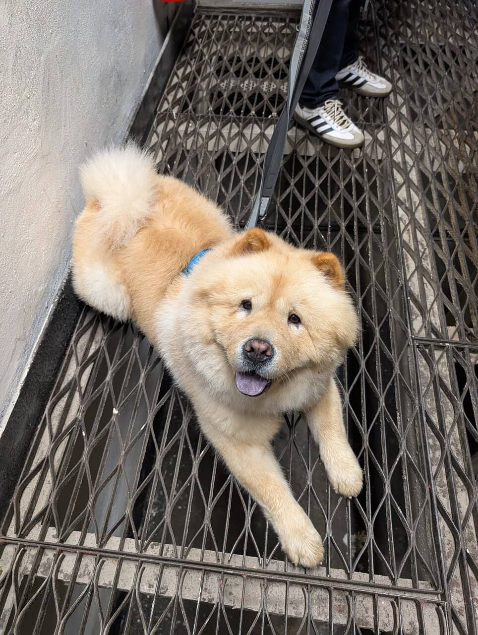 Warehouse Tasting Experience