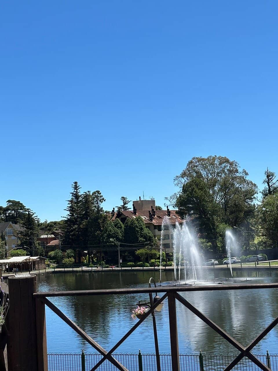Peaceful Lakeside Stroll