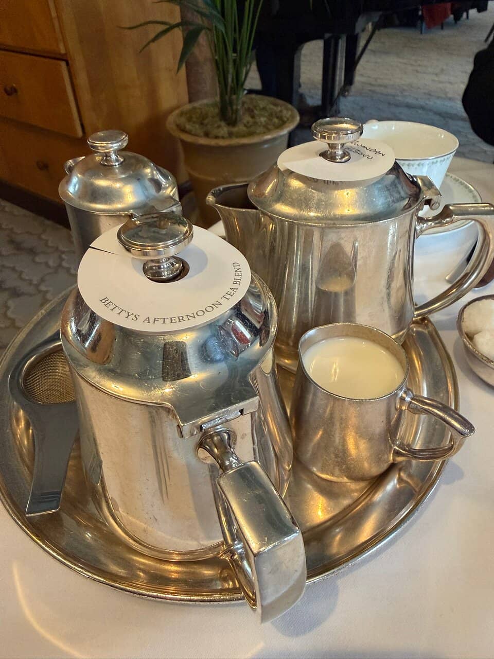 Cozy & Dog-Friendly Atmosphere