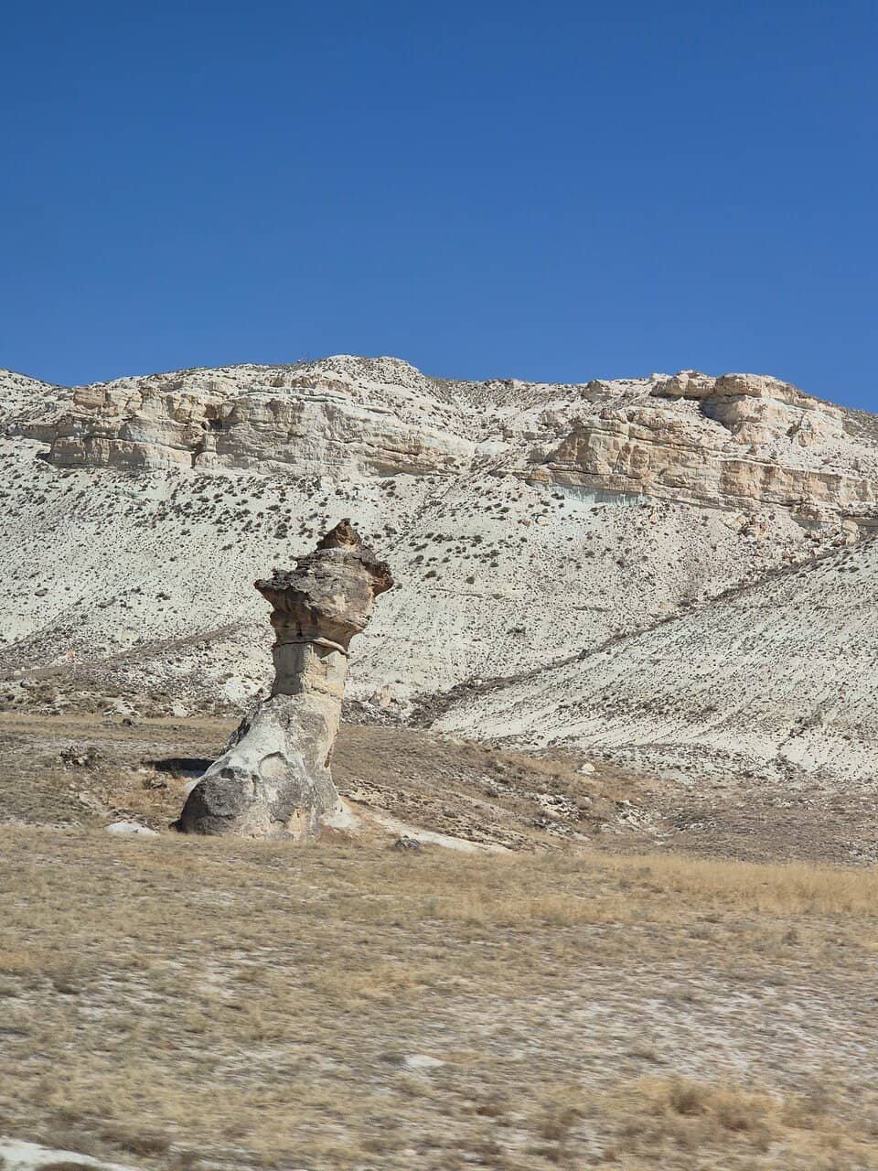 Craft Demonstrations