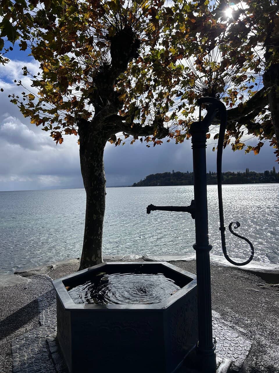 The Grand Floral Displays