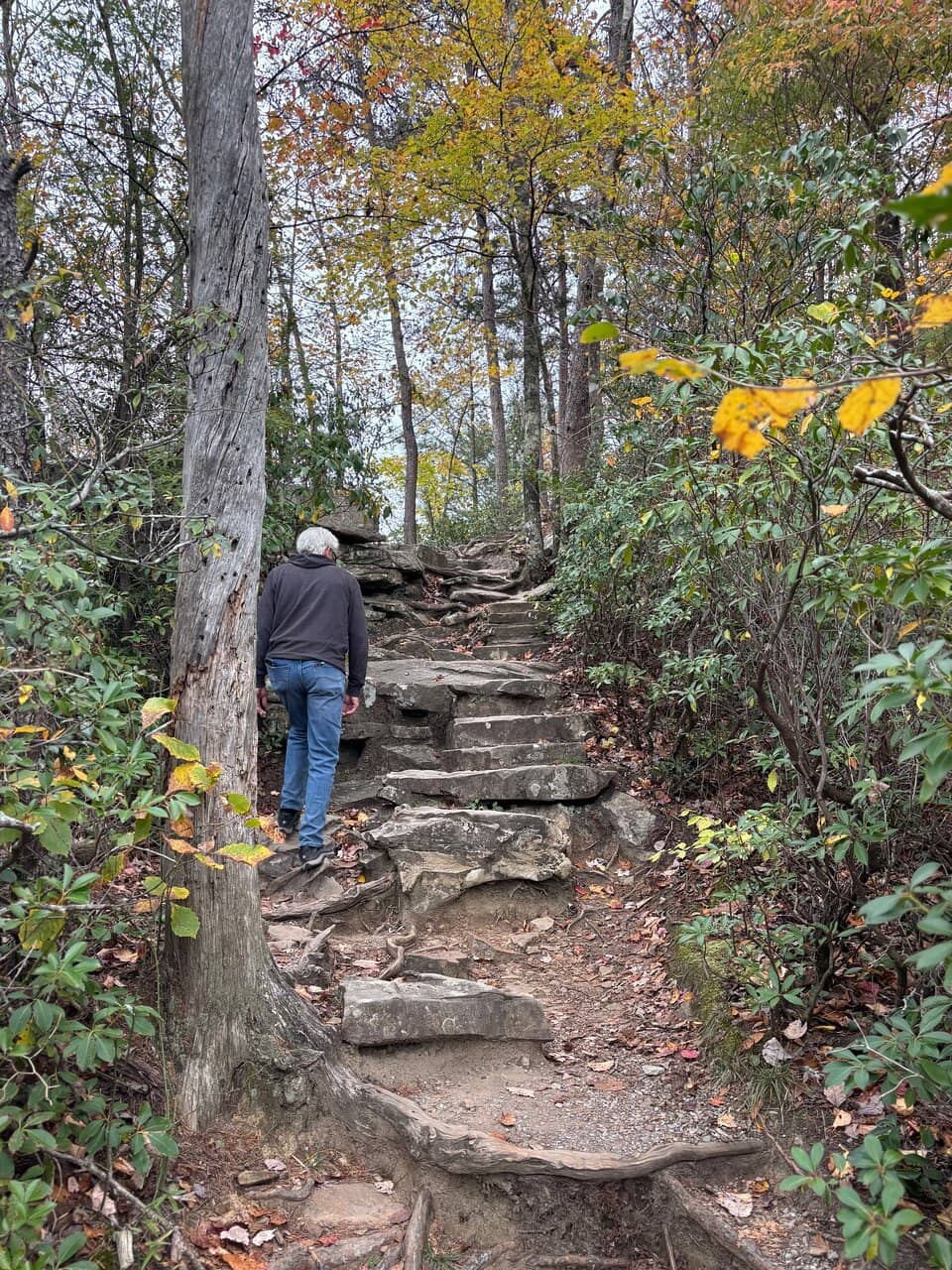 Cane Creek Falls & Rockhouse Falls