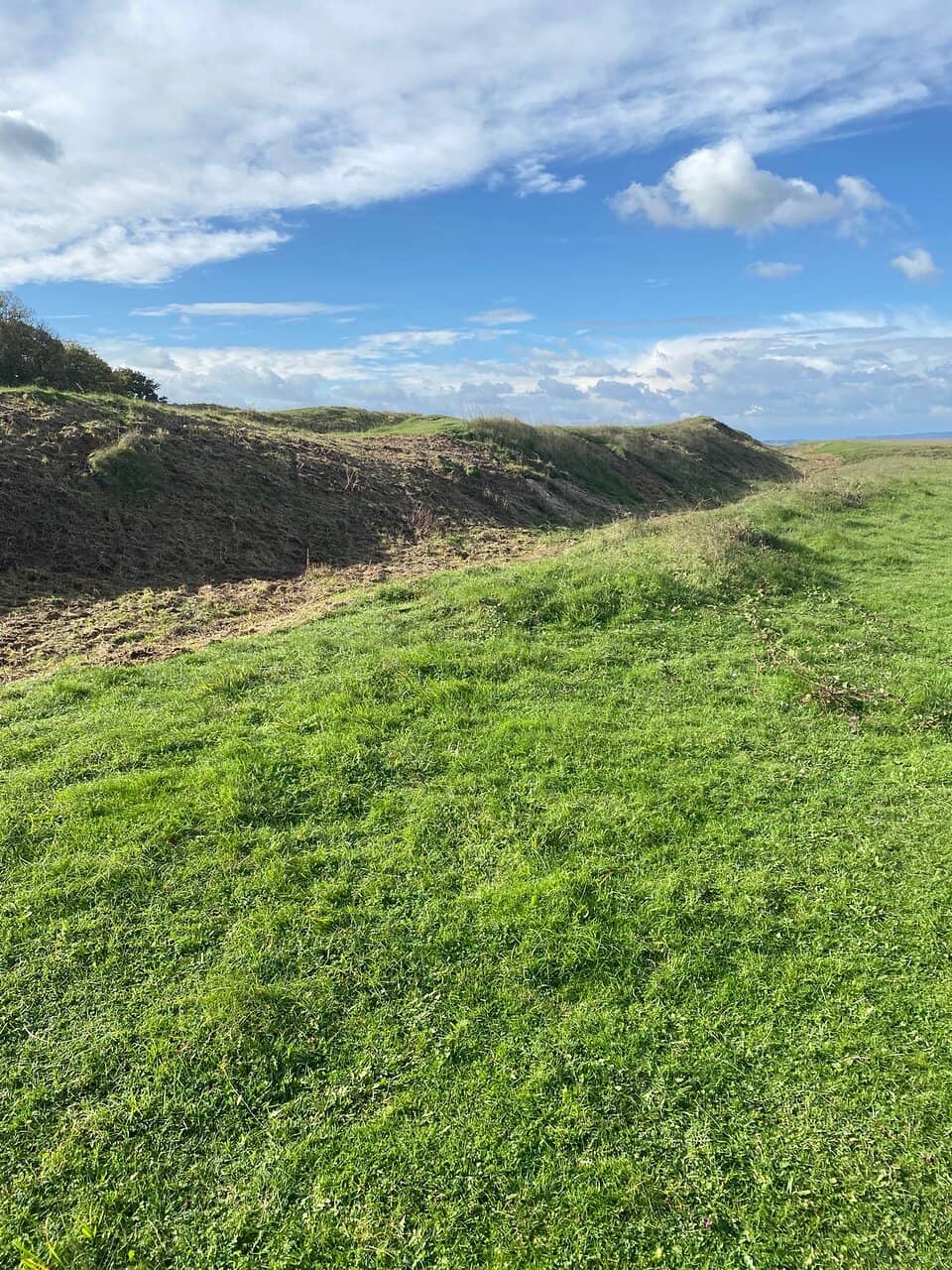Chalk Grassland & Wildflowers