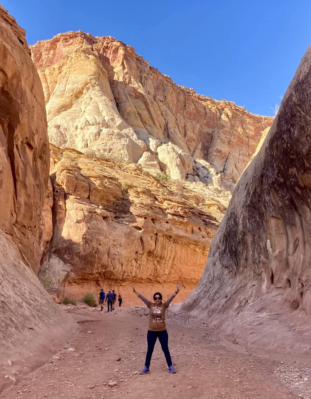 Gifford Homestead Pies