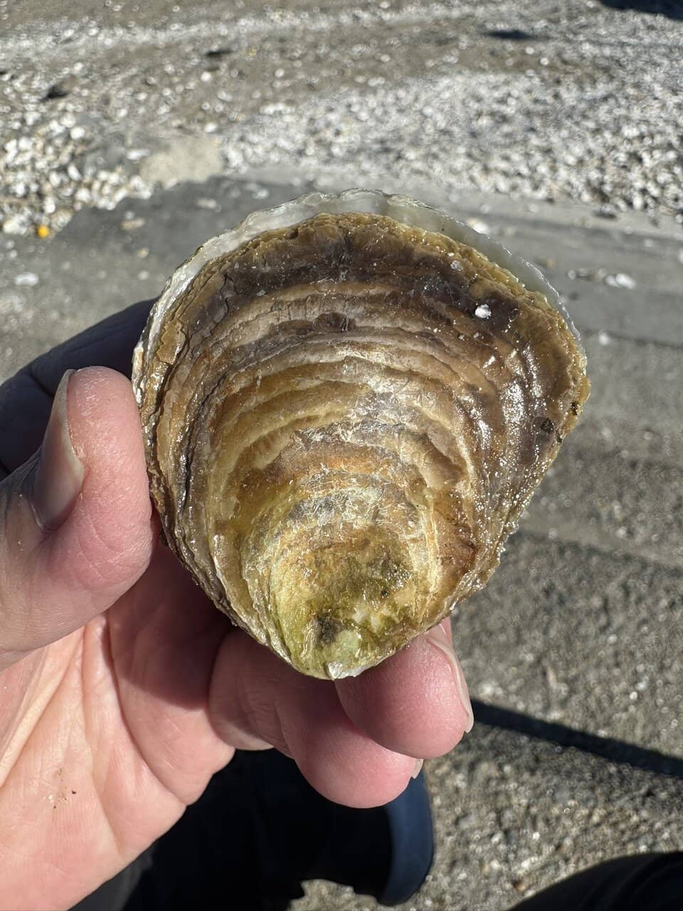 Seaside Dining Experience