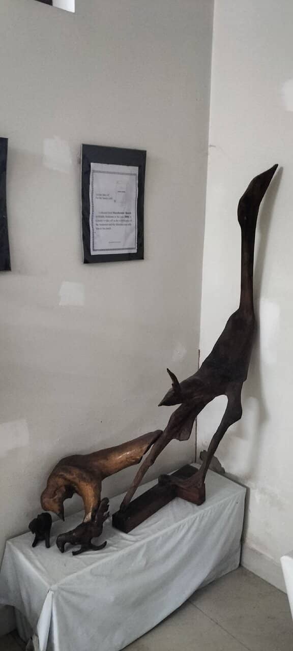 Curator's Guided Tour