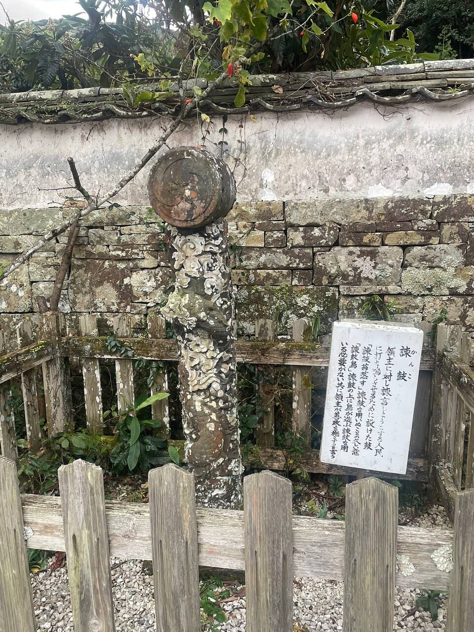 Expansive Graveyard Views