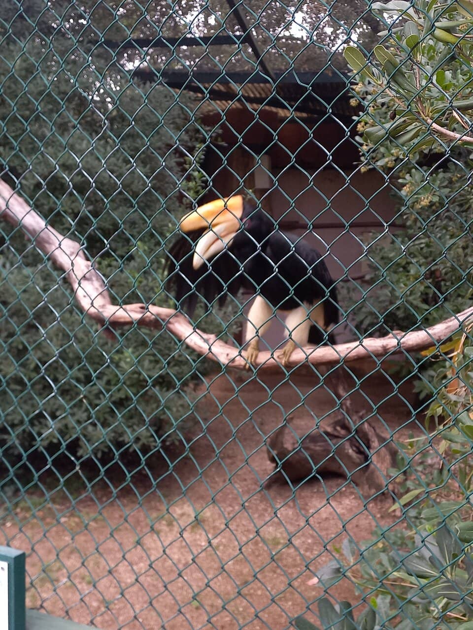 Interactive Feeding Sessions