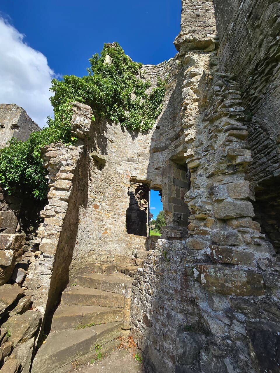 Little Drummer Boy Walk