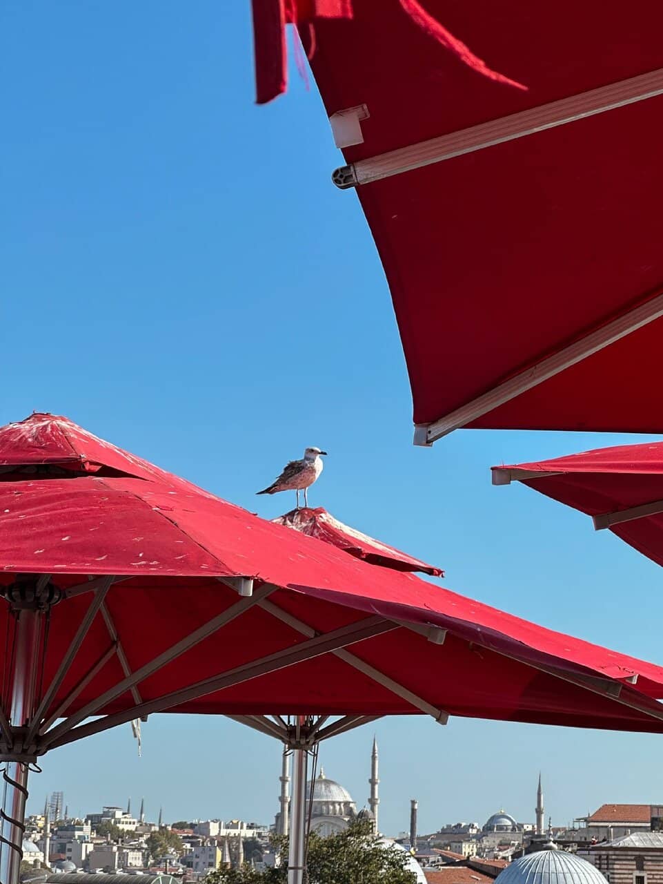 Golden Hour Ambiance