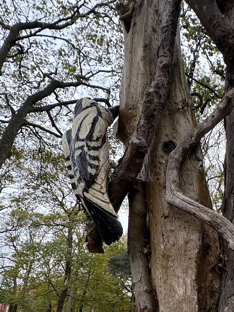 Summer Bandstand Performances