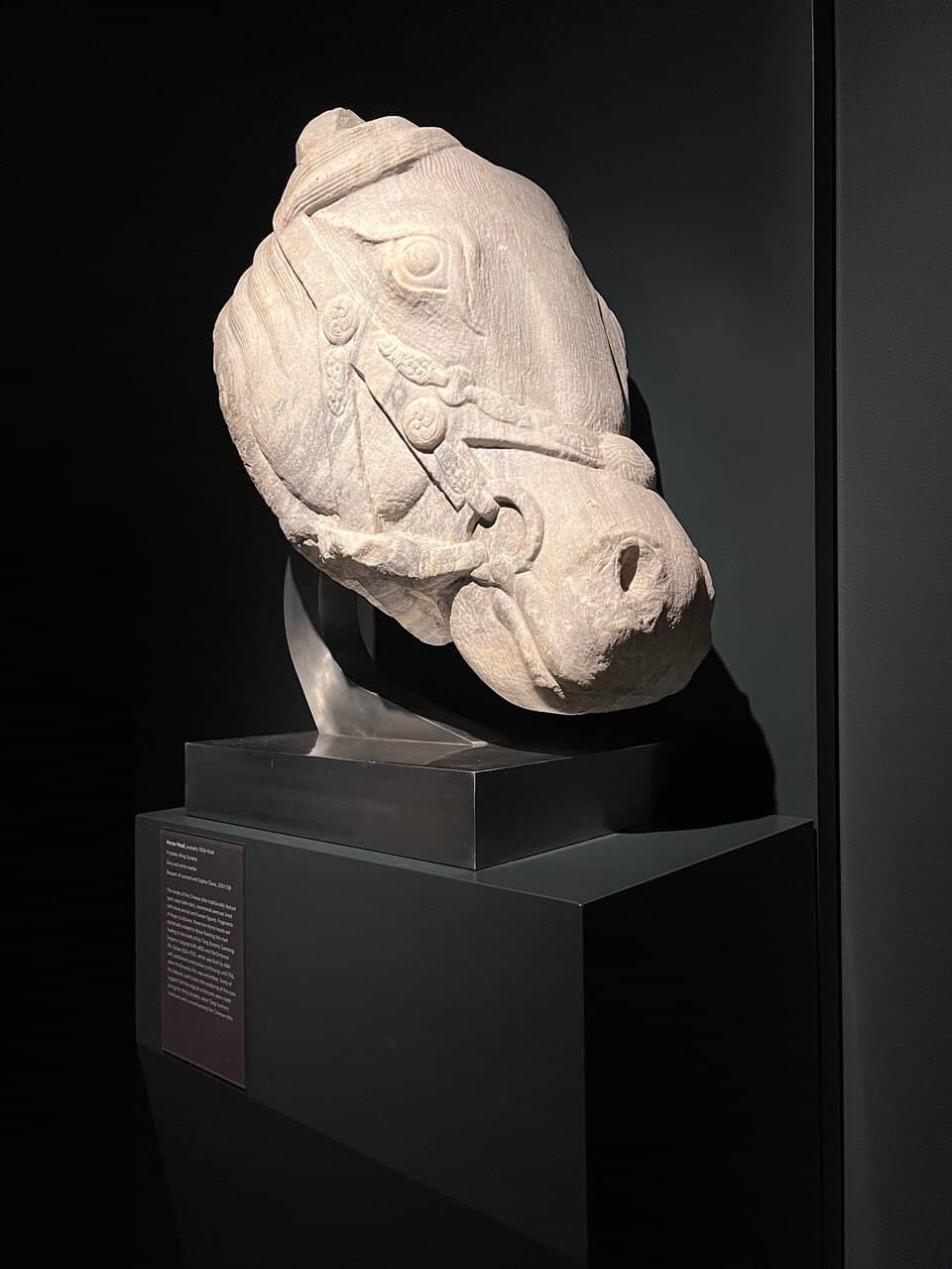 Picasso & Photography