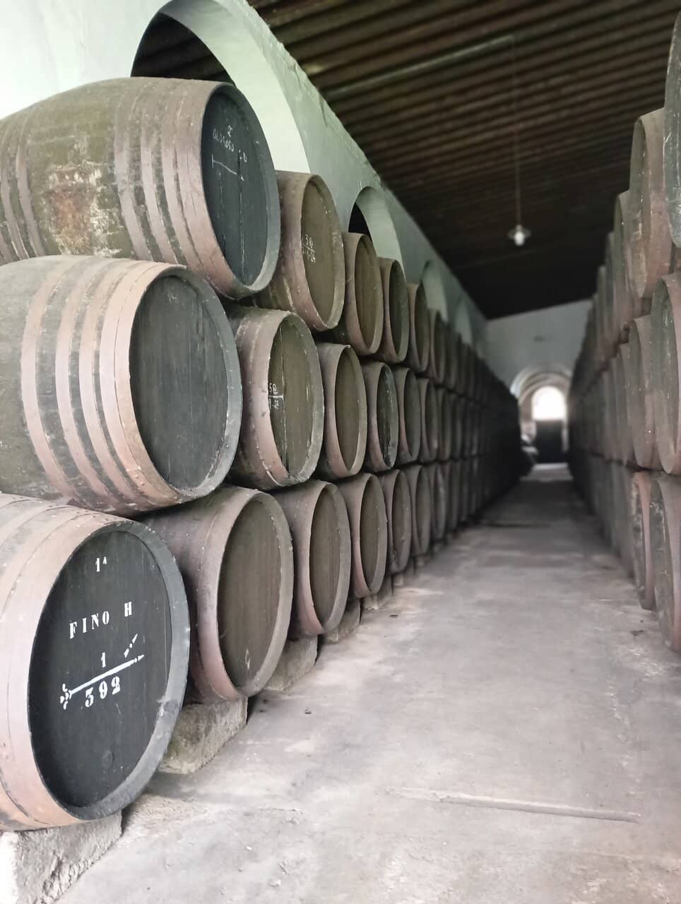 Bodega San Roberto