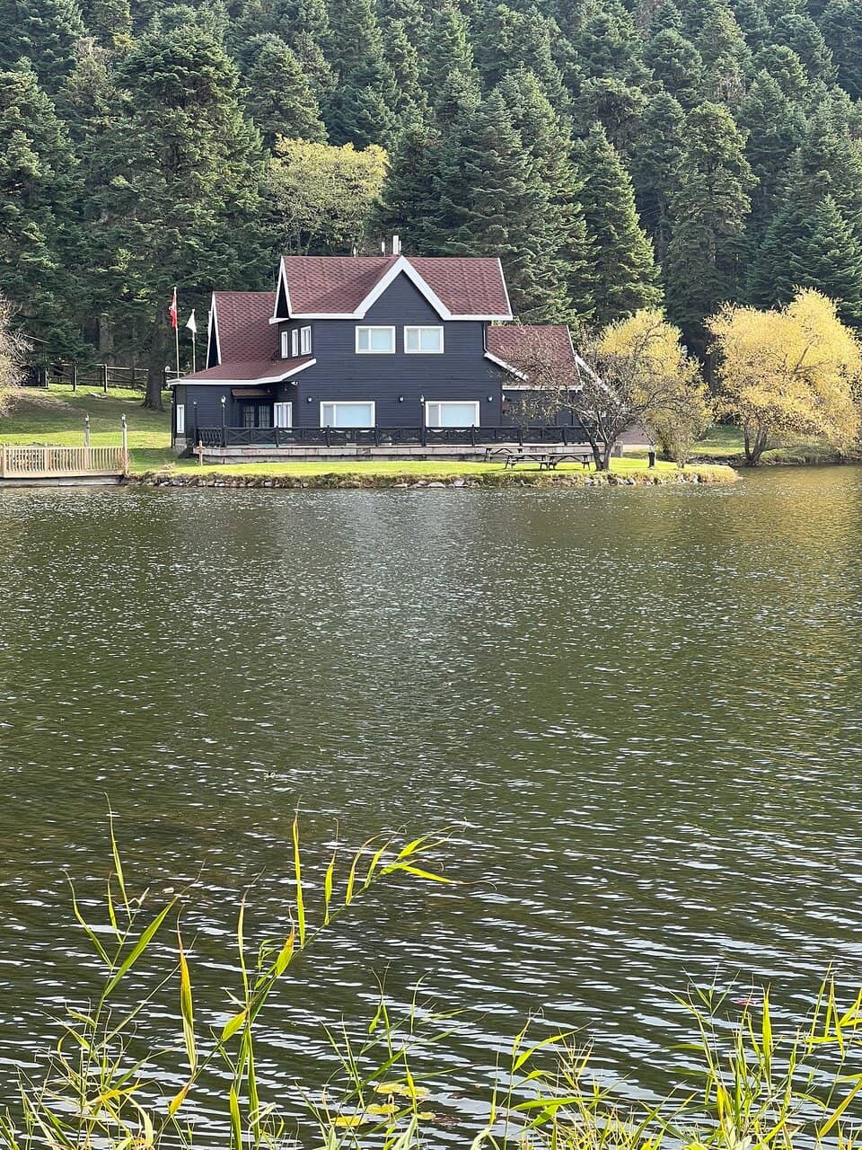 Cascading Waterfalls