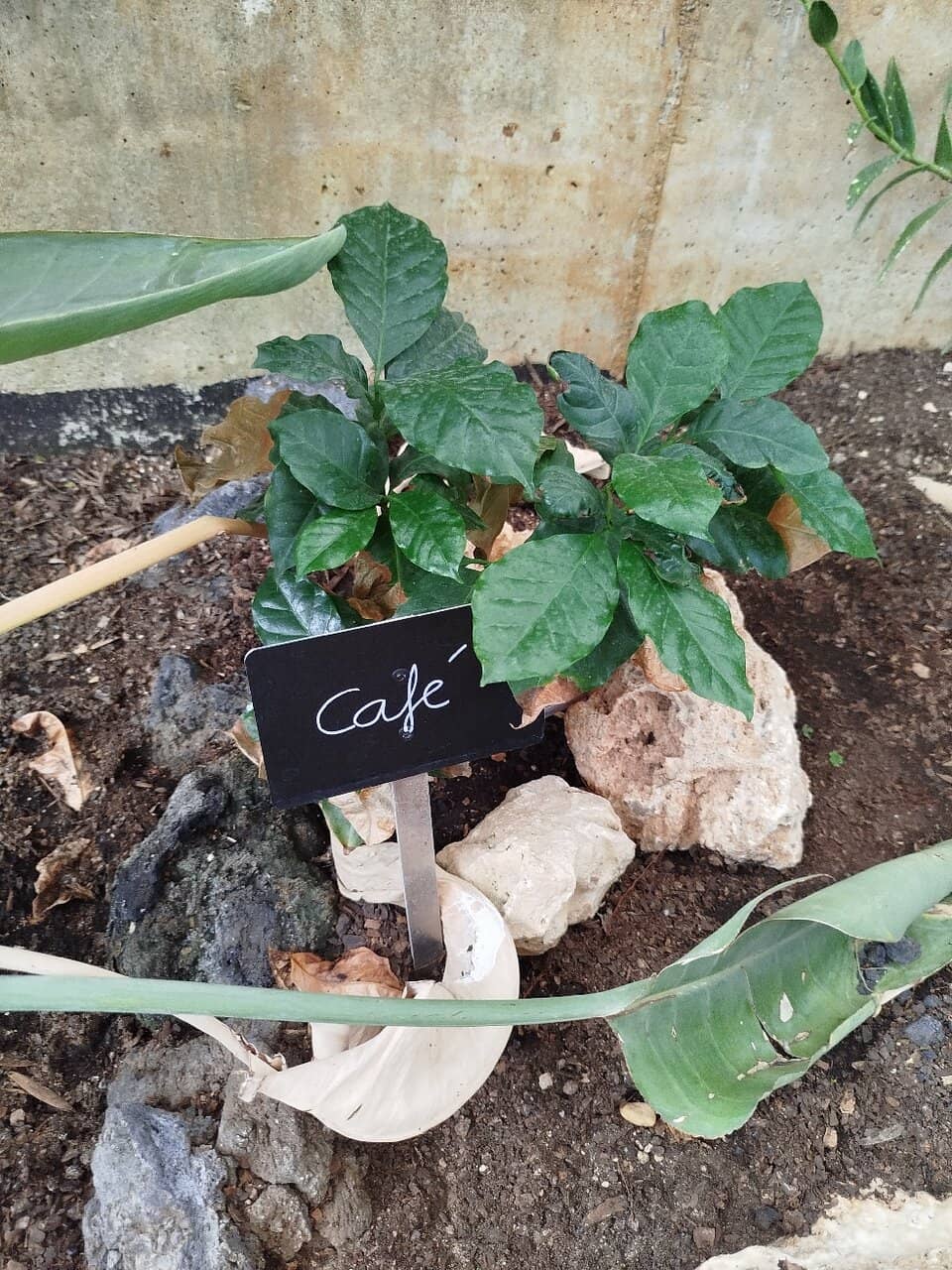 Exotic Species Pavilion