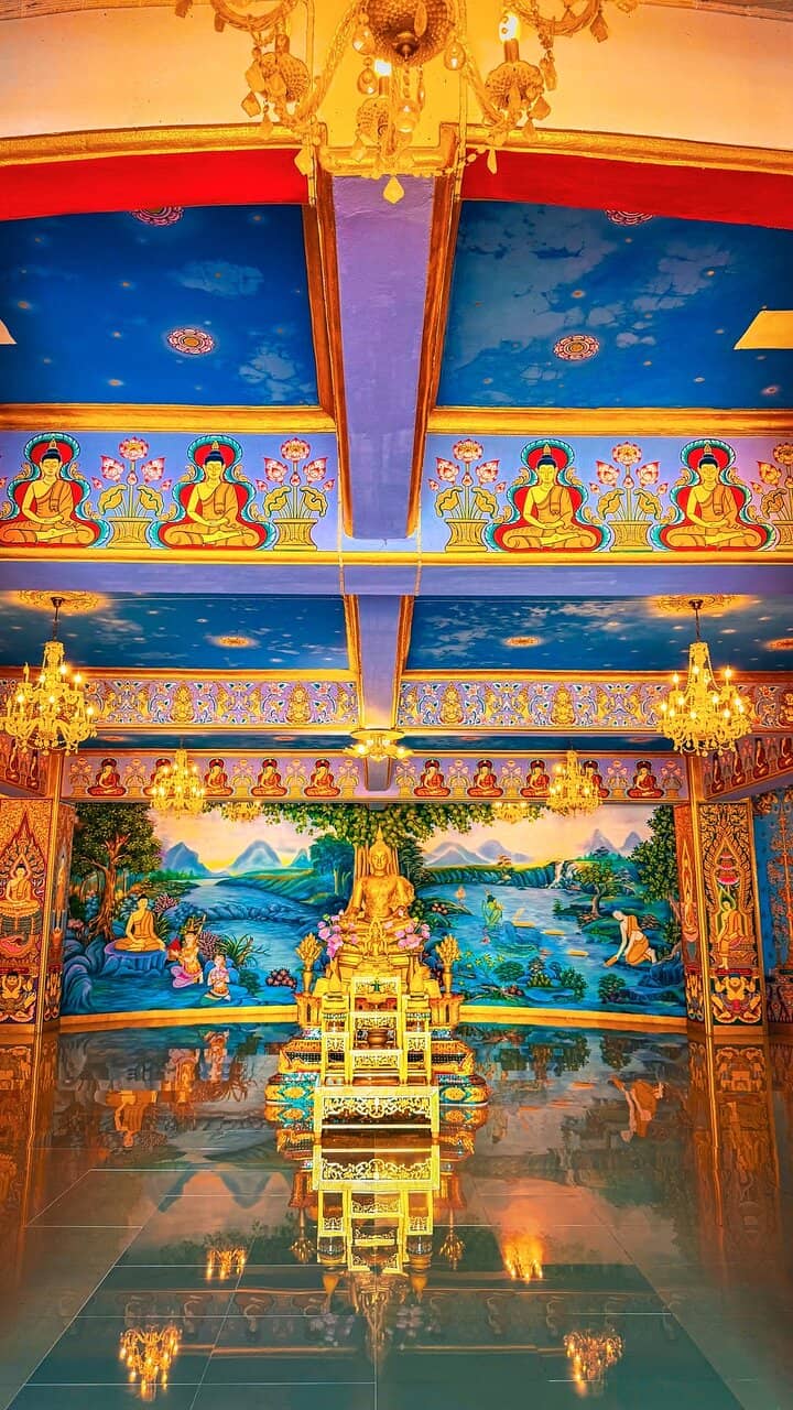 The 'Lady in the Log'