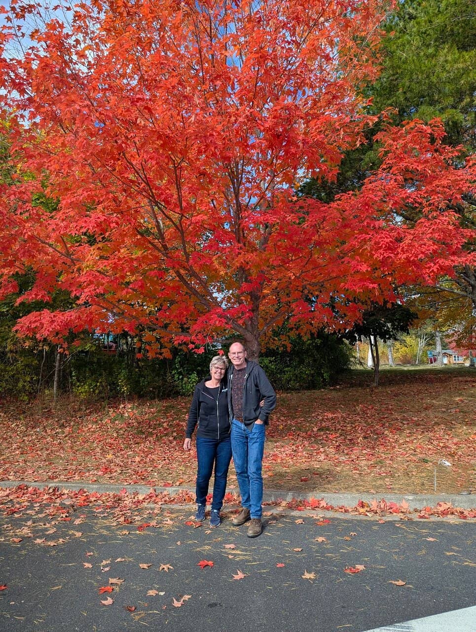 Mabel Bell's Influence