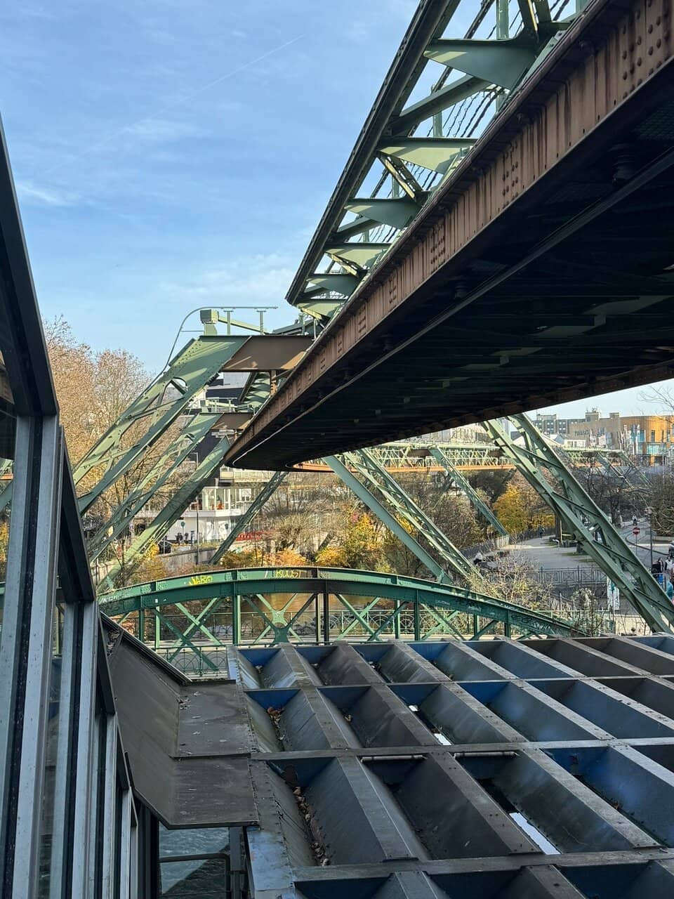 Tuffi the Elephant's Leap