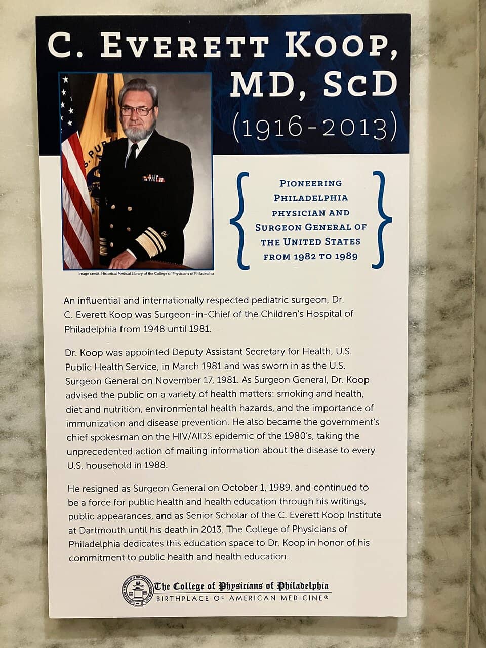 Anatomical Skeletons & Skeletons