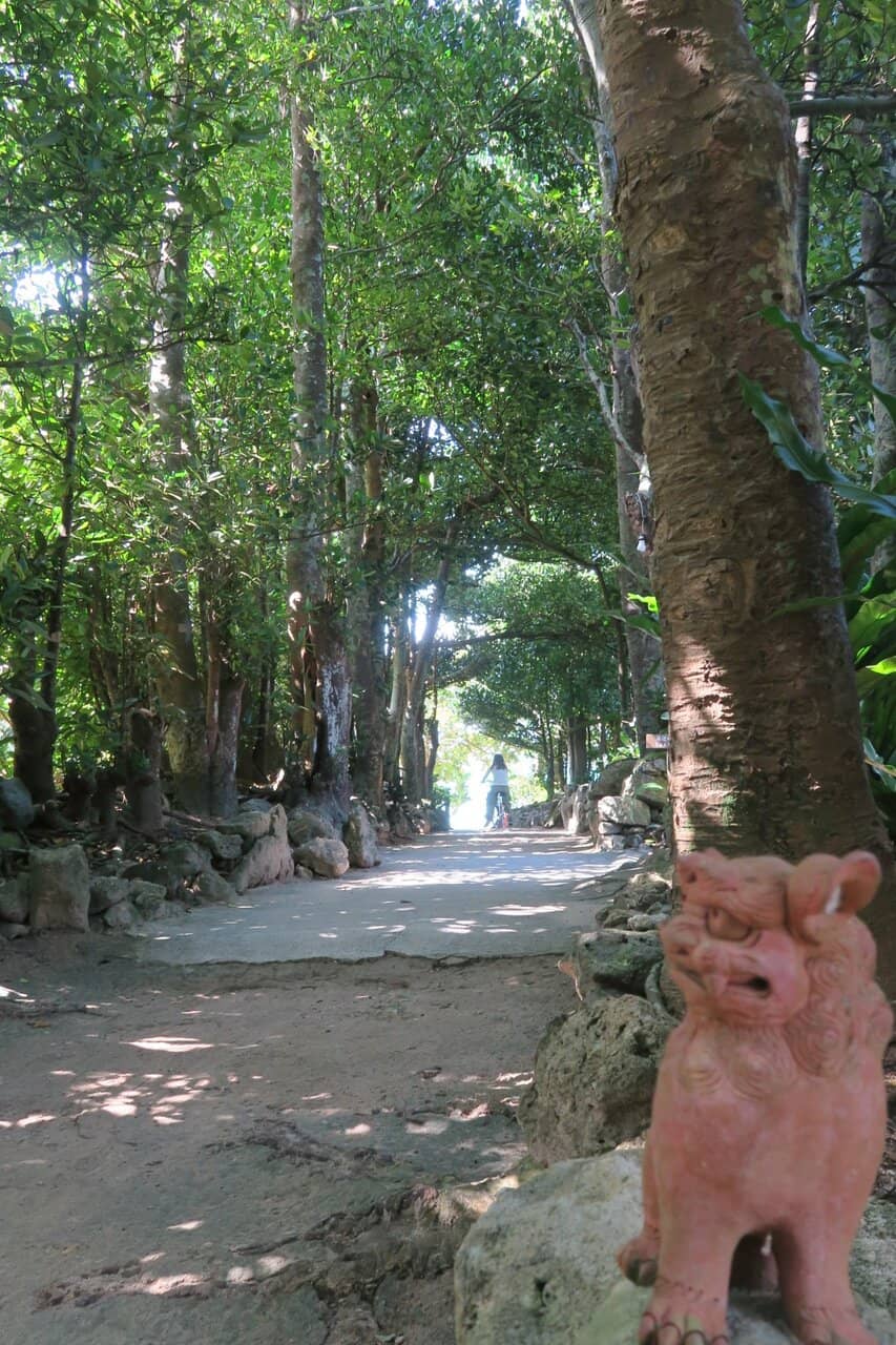 Charming Village Paths