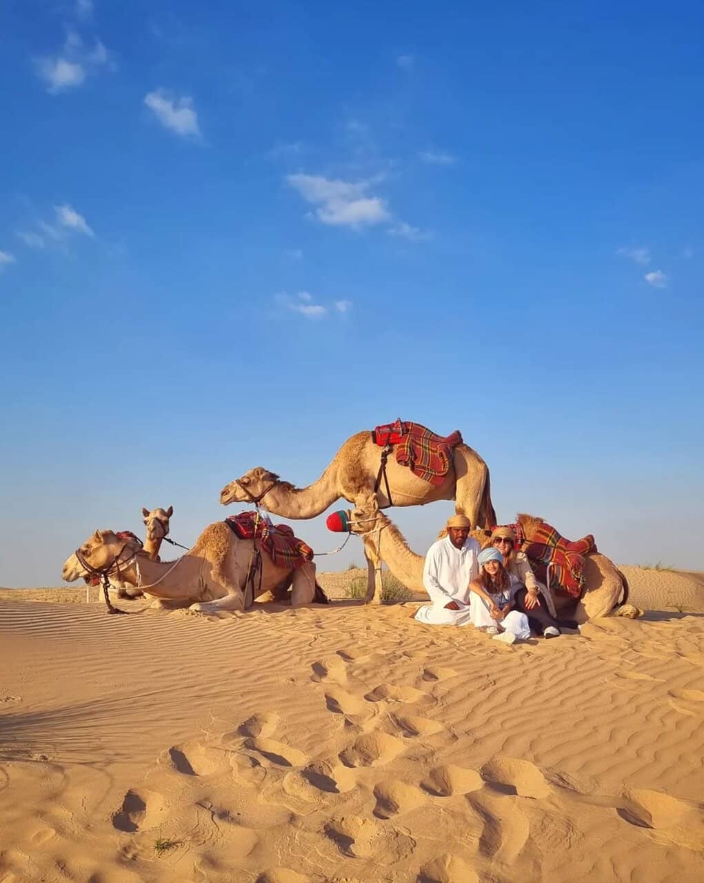 Diverse Animal Friends