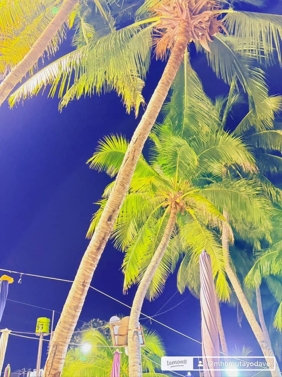 Fishing Pier & Seafood