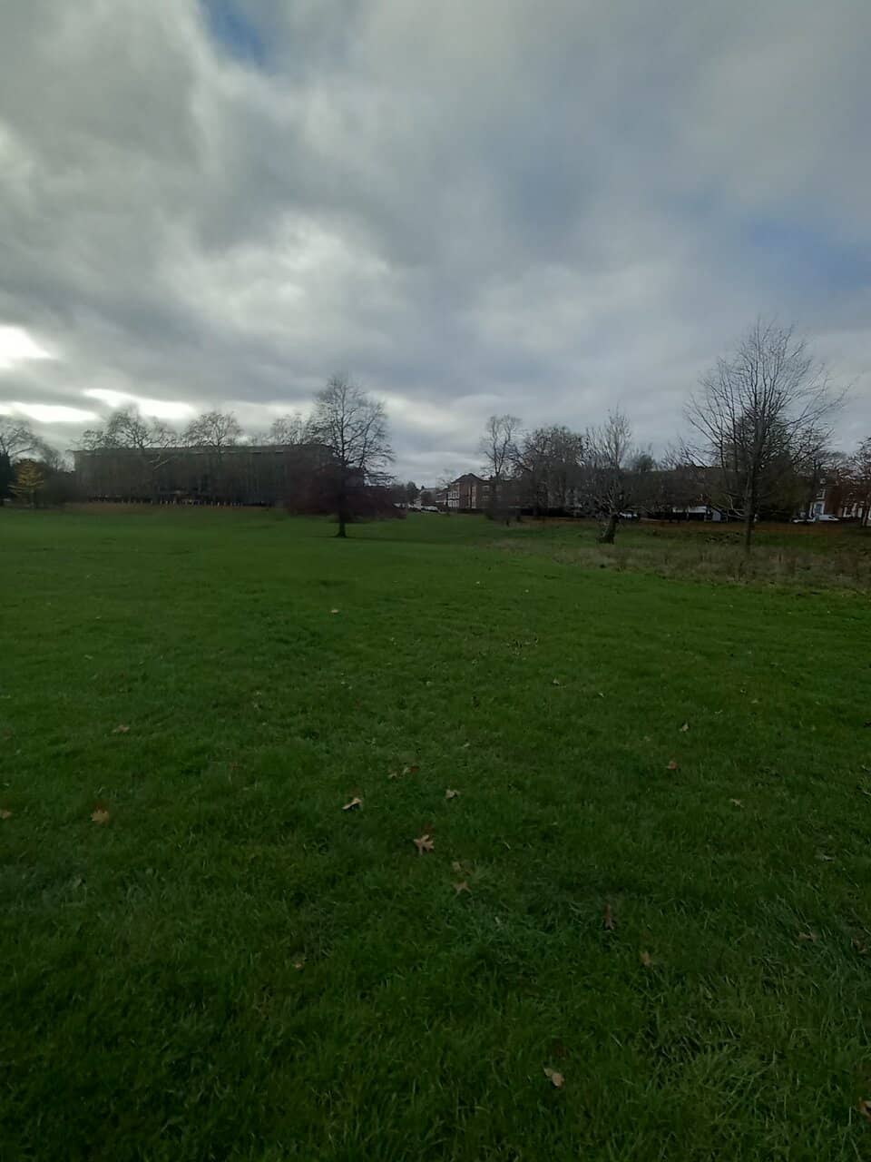 Peckham Rye Park Lake