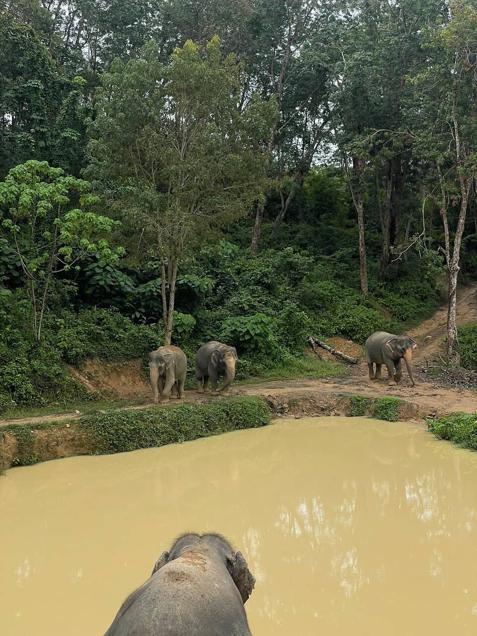 Educational Insights