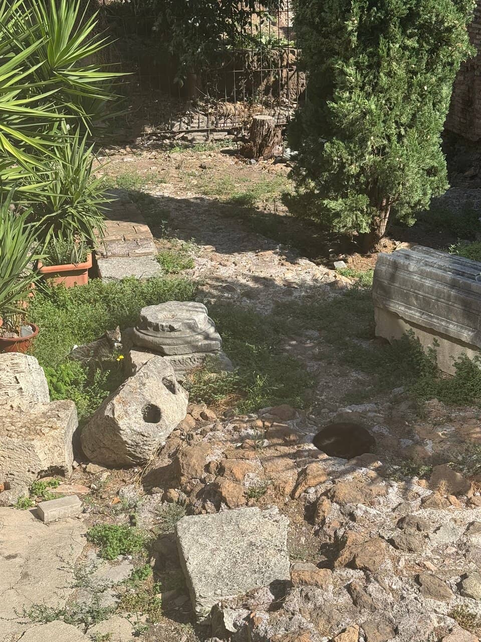 Volunteer Interaction