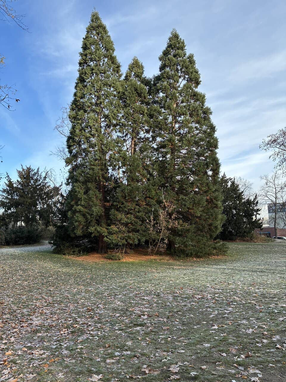 Sommerbad Humboldthain