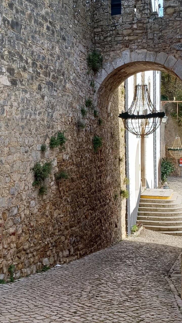 Ginjinha in a Chocolate Cup