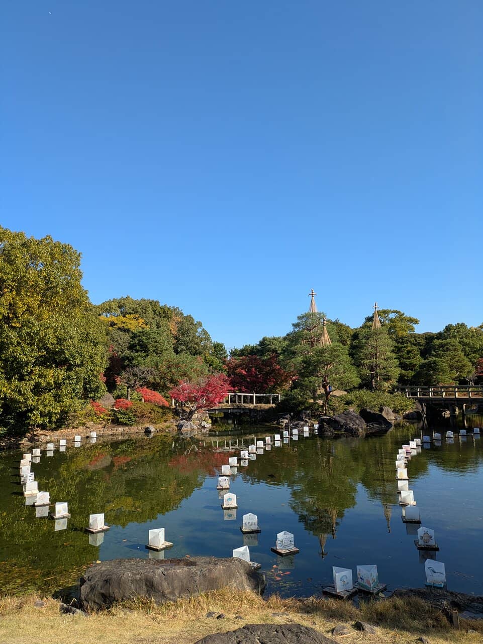 Tea House Experience