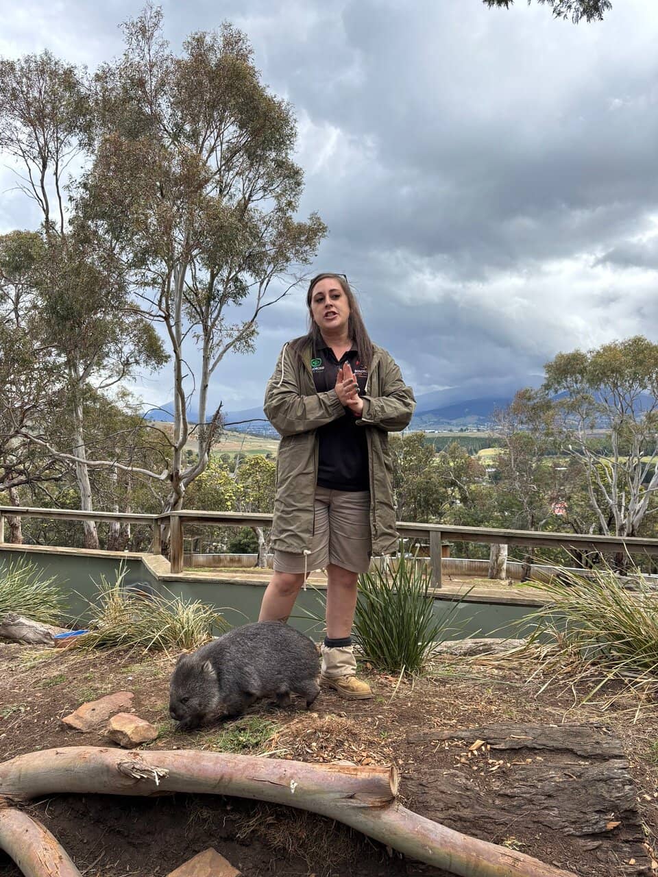 Wombat Cuddles & Feeding