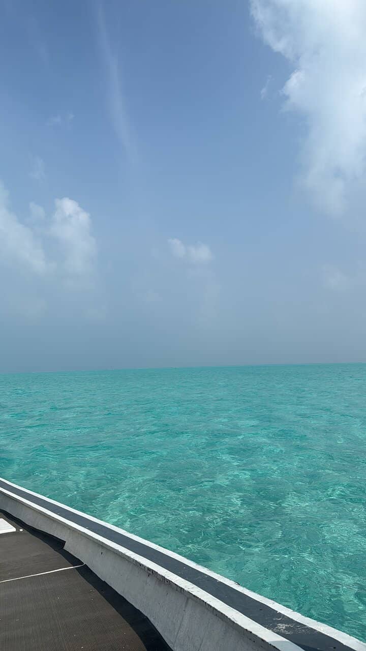 Rural Goan Village Scenes