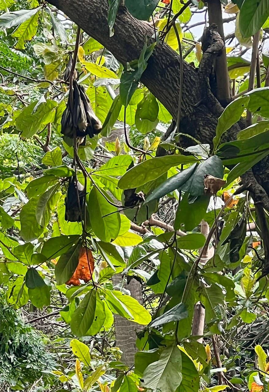 Historical Echo Hall