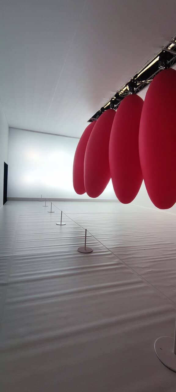 Photo Opportunities Galore