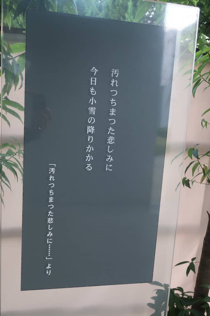 Tranquil Outdoor Exhibits