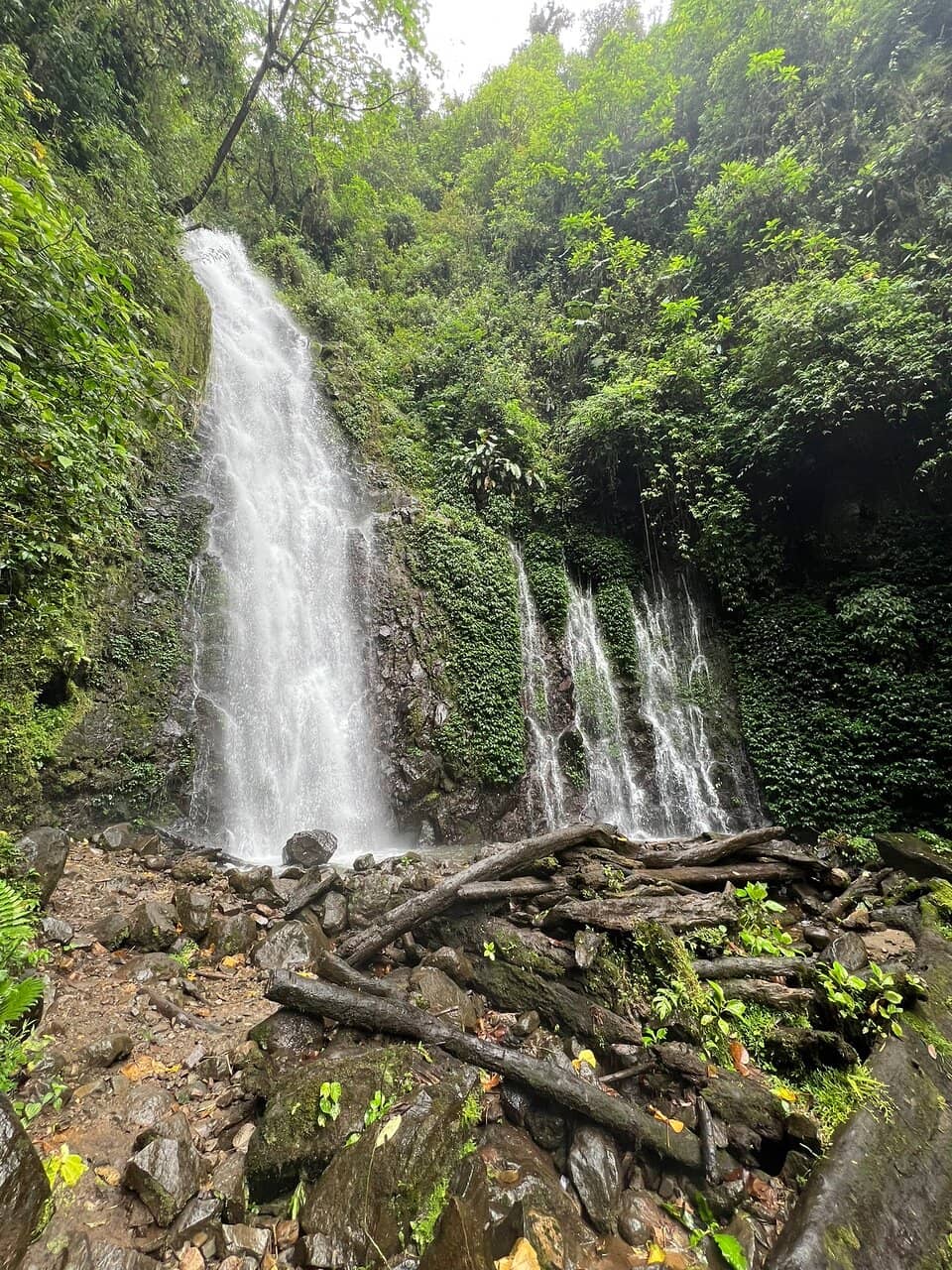 Diverse Wildlife Encounters
