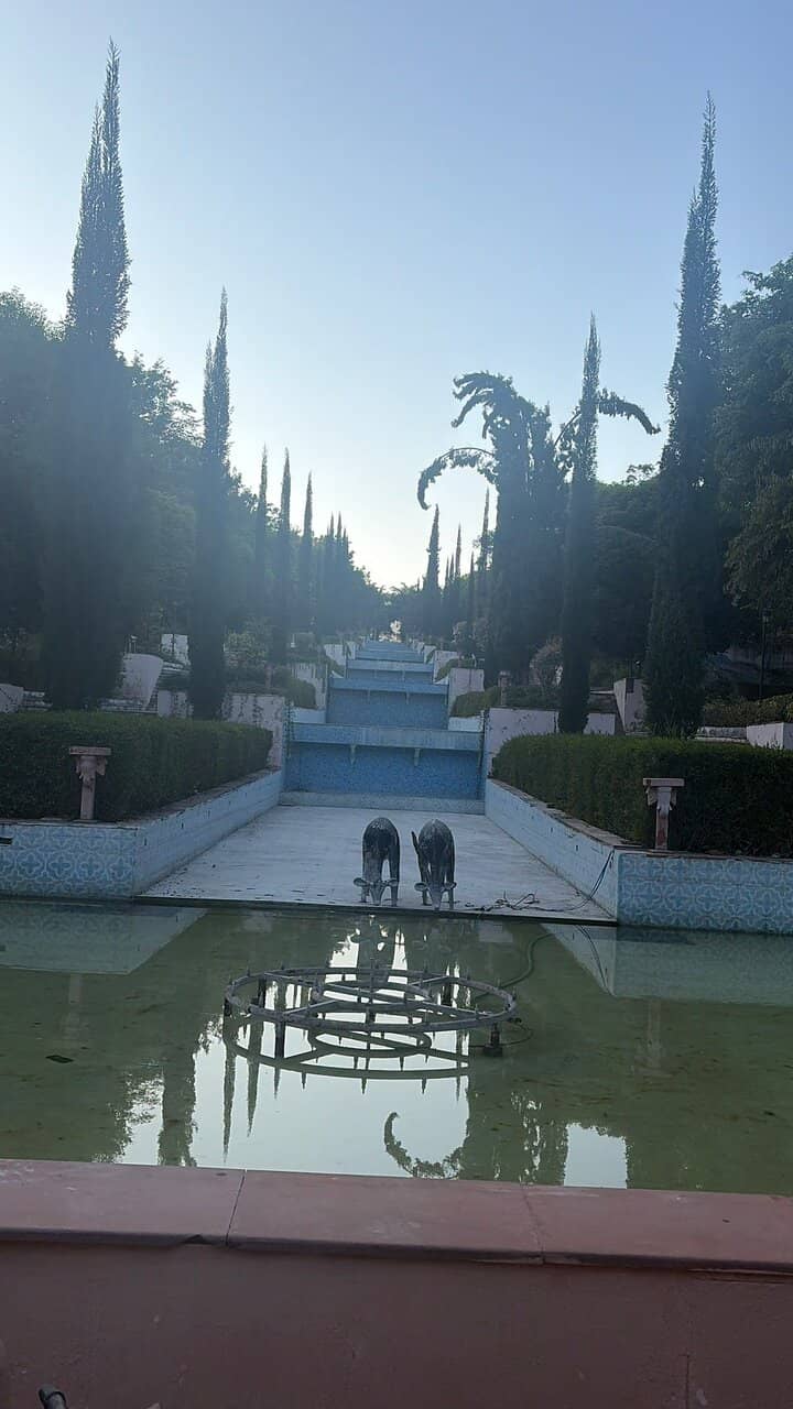 Reptile Encounters (Pune)