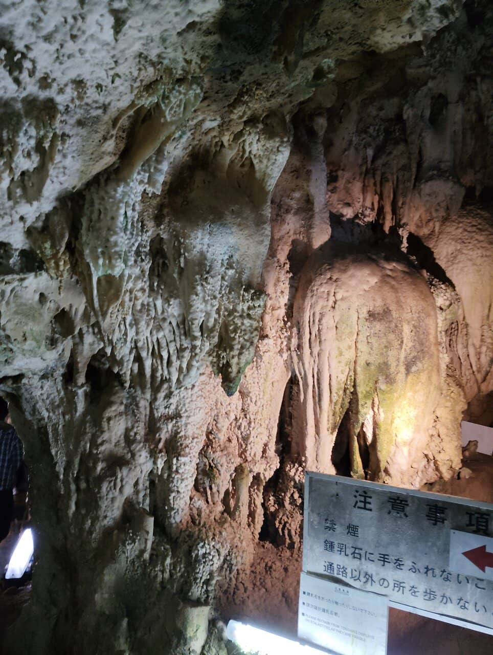 Illuminated Displays