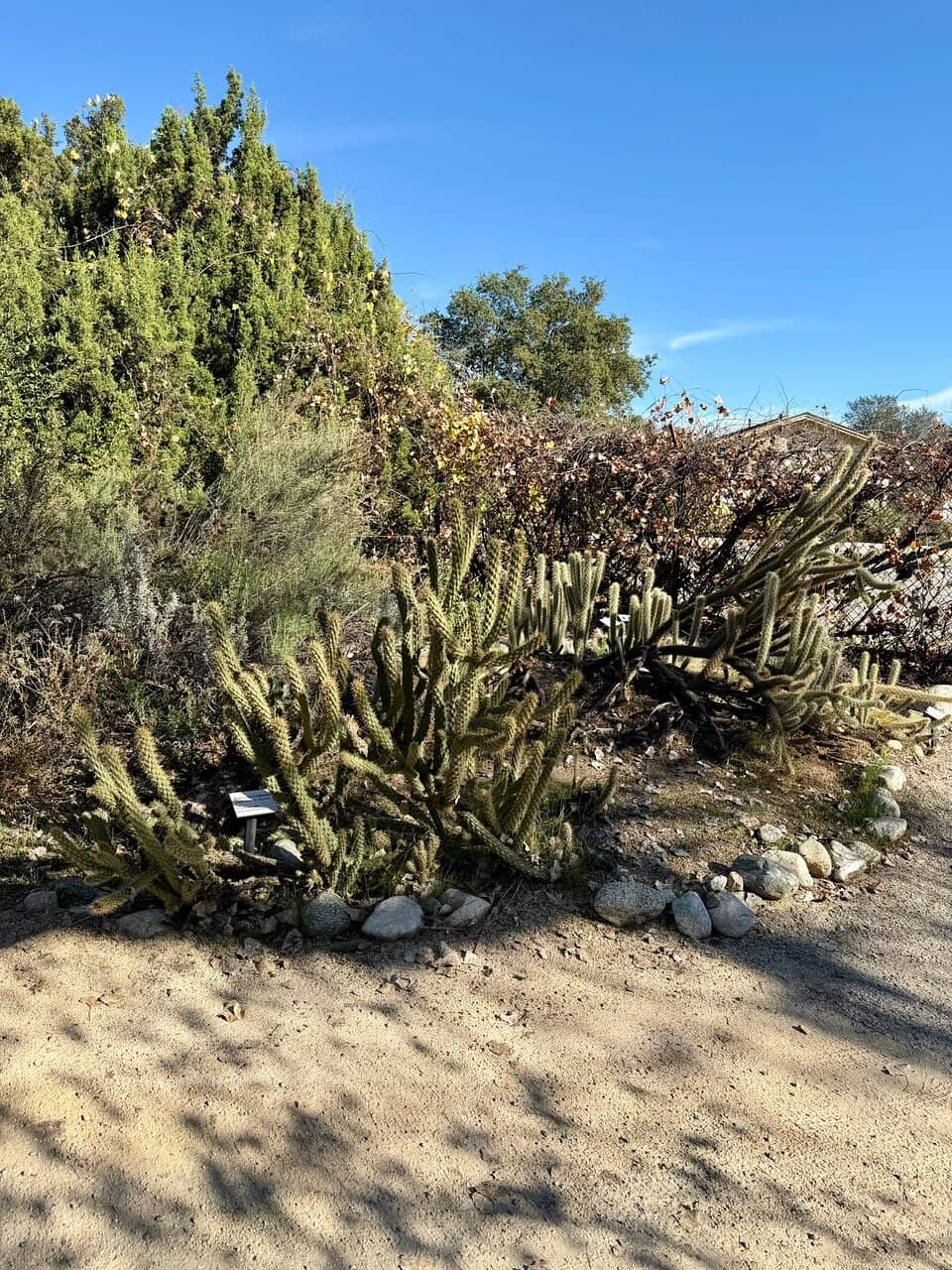 Tranquil Walking Trails