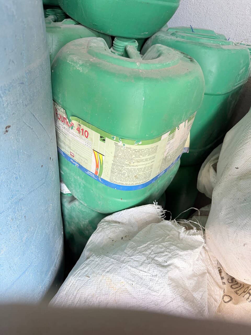 Walking Through the Tea Fields