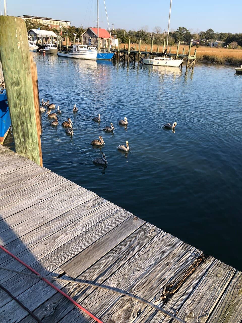 Waterfront Dining & Drinks