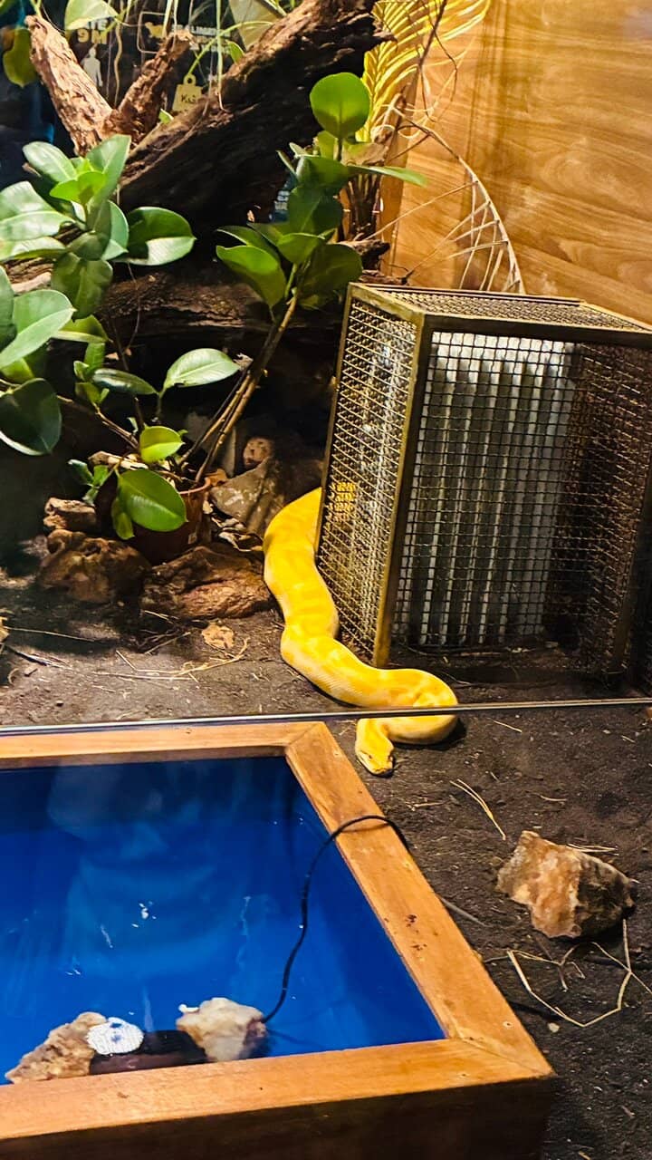 Educational Displays